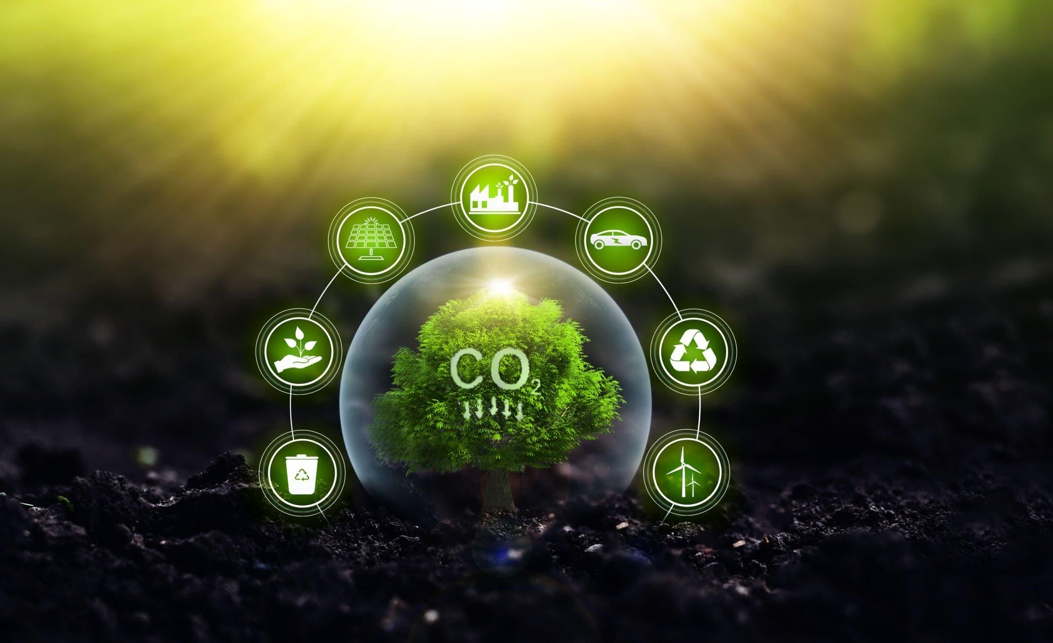 Carbon Footprint study