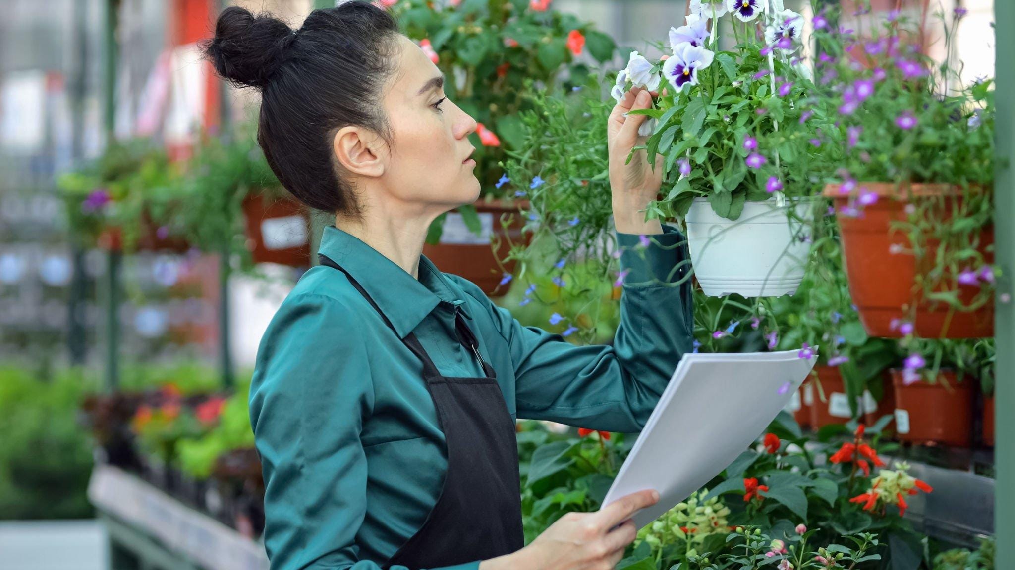 Grreen audit Services