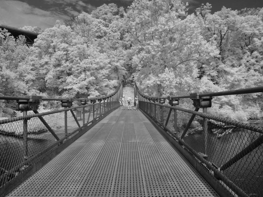 Photo Image: Infrared Thermography