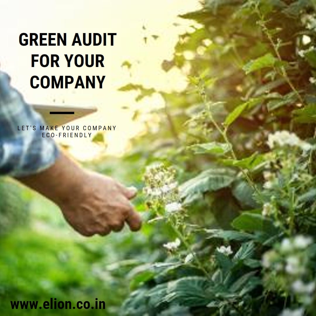 A person’s hand touches green plants in a sunlit garden, alongside text promoting a #GreenAudit for companies to boost eco-friendly practices and energy efficiency. Website www.elion.co.in is displayed at the bottom.