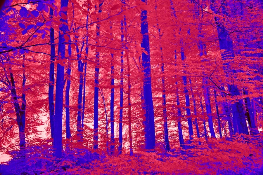 Photo Thermal Imaging