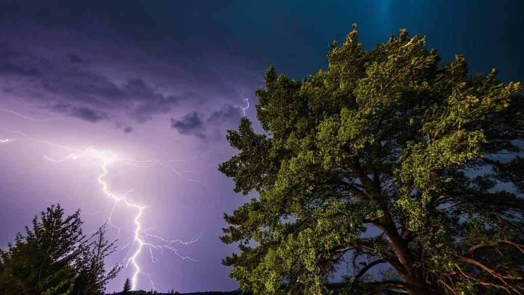 Photo Lightning Arrester Audit