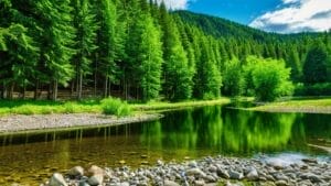 Photo Water Audit Report Format