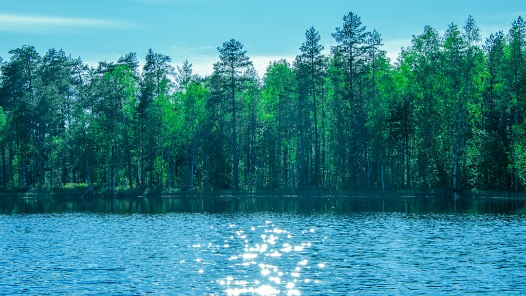 Photo Environmental Audit Checklist