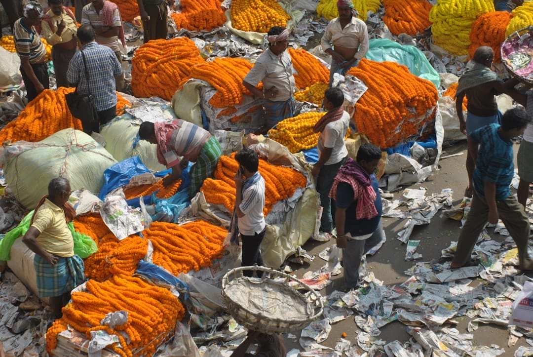 Photo Environmental Audit India